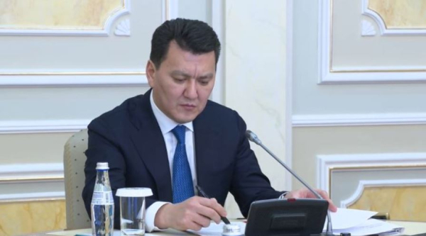Карин: Принятие законов завершает второй этап политических реформ