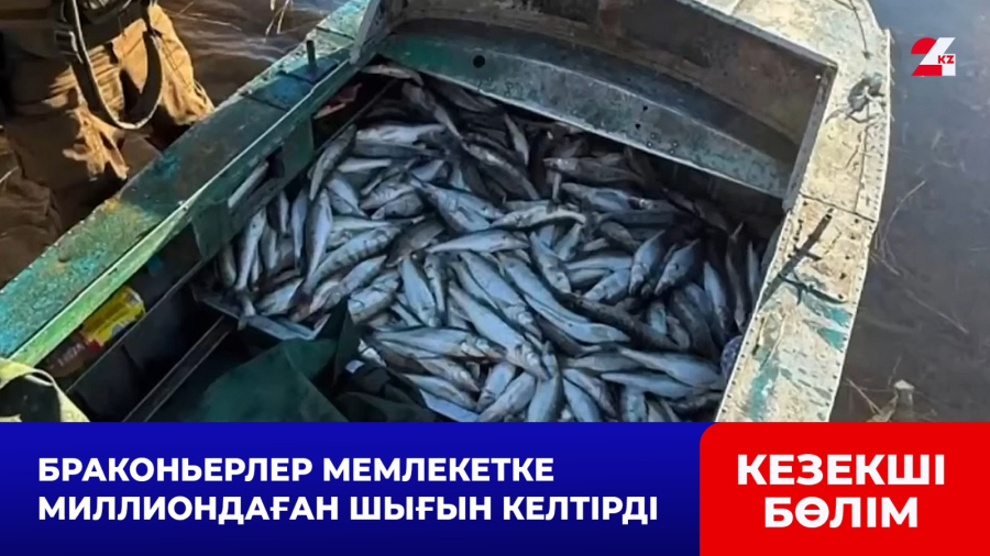 Зайсан көлінде үш браконьерлік топ құрықталды