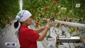 Крупный турецкий холдинг начнёт инвестировать агросектор Казахстана | Между строк