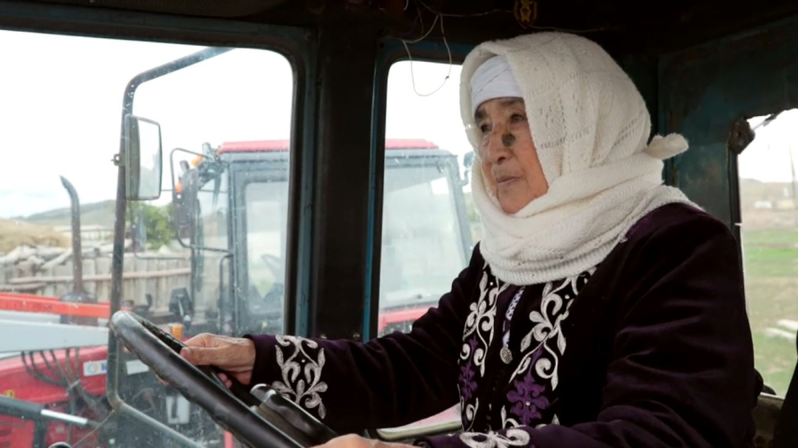 Более 50 лет за рулём трактора провела жительница Карагандинской области