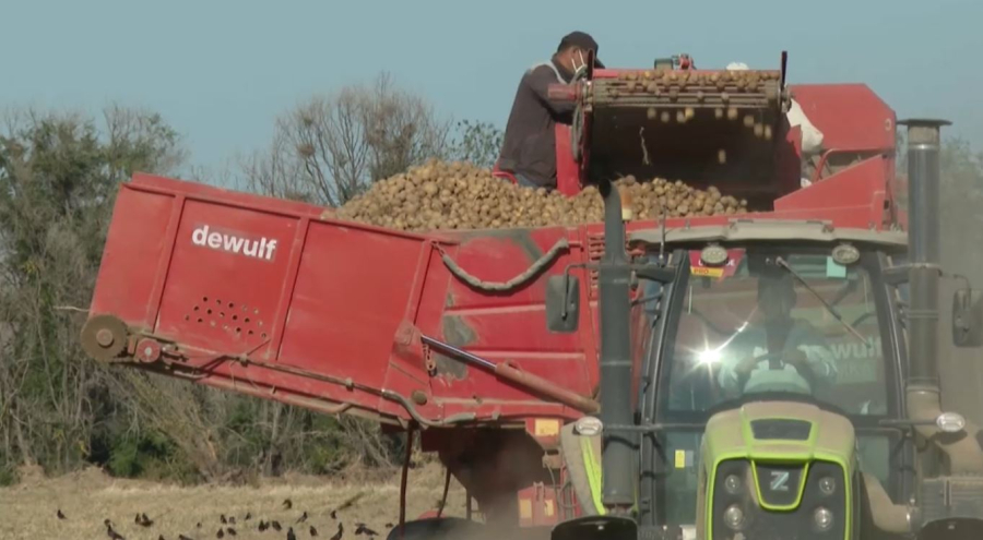 Жетісу облысында өнім жинау науқаны аяқталуға жақын