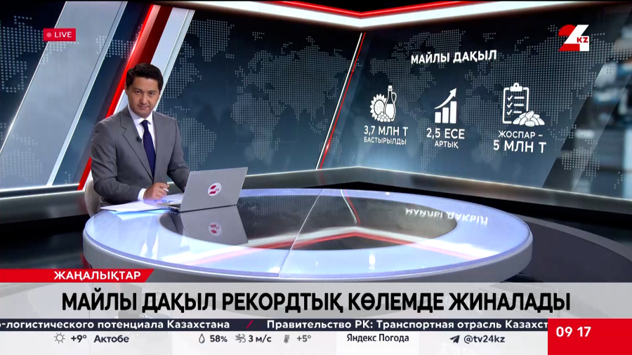 Майлы дақыл рекордтық көлемде жиналады