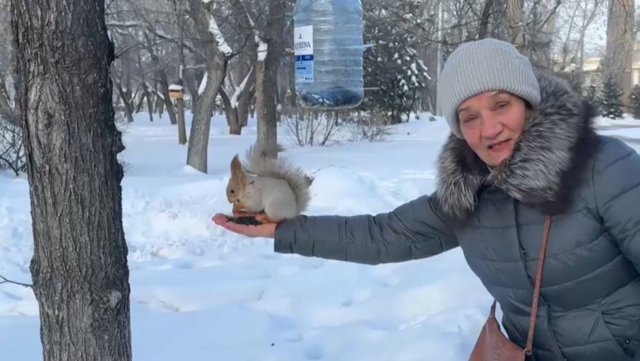 Петропавлда зейнеткер волонтерлер жұртқа үлгі көрсетті