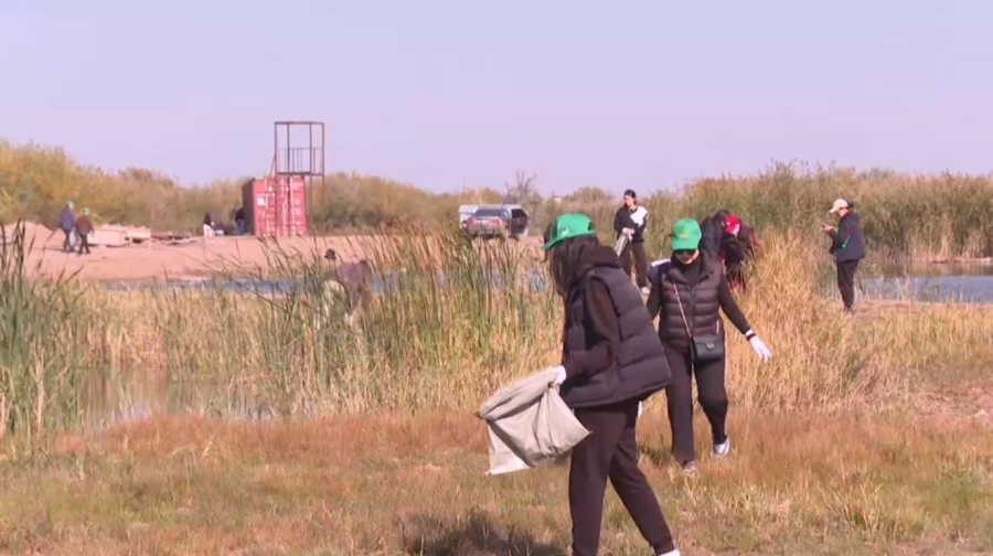 World Cleanup Day: берег реки Саркырама очистили в Косшы
