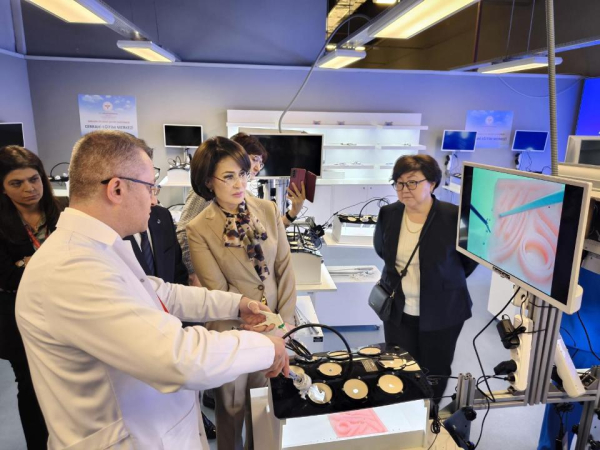 Казахстан и Турция обсудили вопросы проведения встречи министров здравоохранения стран ОТГ