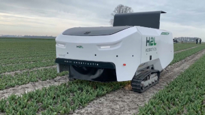 Новый робот в Нидерландах выявляет больные тюльпаны