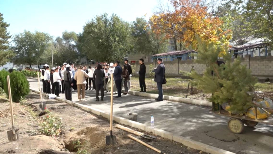 Жетісу облысында «Ардагерлерге тағзым» экоакциясы өтті