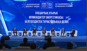 Астана энергетика саласында «жасыл болашаққа» ұмтылыста көш бастай алады