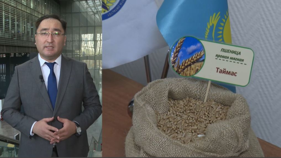 Ғылыми жобалардың 40%-ы өндіріске енгізіледі  