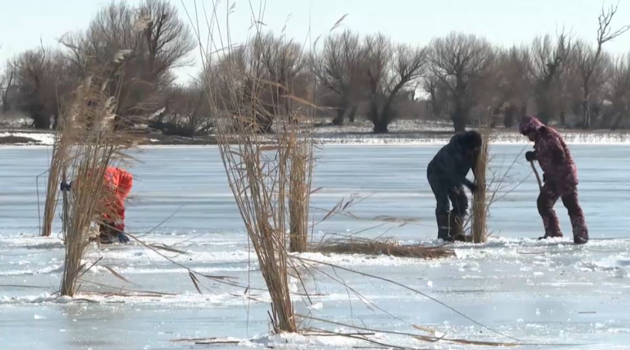 Усиленную аэрацию водоемов проводят в Атырауской области