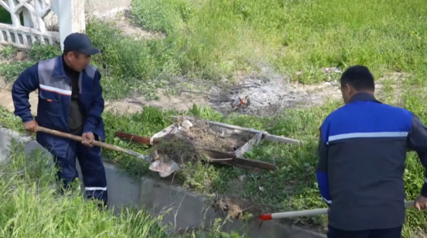 Президент өңірлер мен қала аумақтарын көгалдандыруды тапсырды