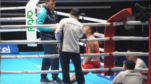Ташкенттегі әлем біріншілігінде ел атынан 8 боксшы сынға түсіп жатыр
