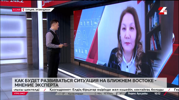 Каковы шансы сохранить дальнейший мир в секторе Газа. Айнур Ногаева