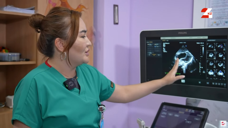 Эбштейн аномалиясы жайында не білеміз?