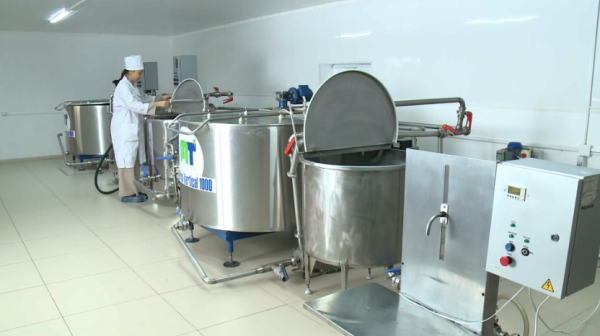 Новые производства открывают в селах Атырауской области