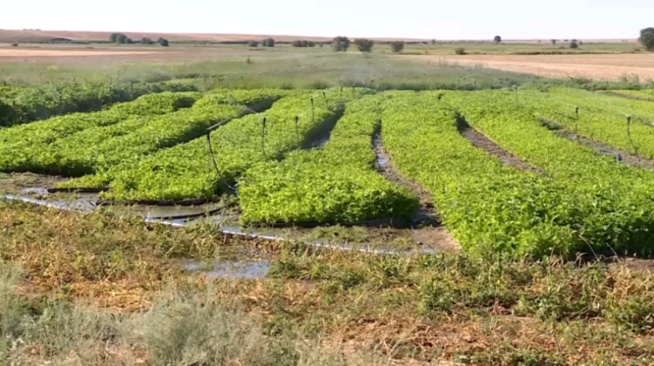 Более 870 млн кубометров воды сэкономили в 2025 году в Казахстане