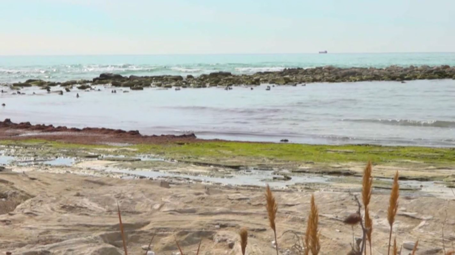 Уровень Каспия ежегодно снижается на 70 сантиметров