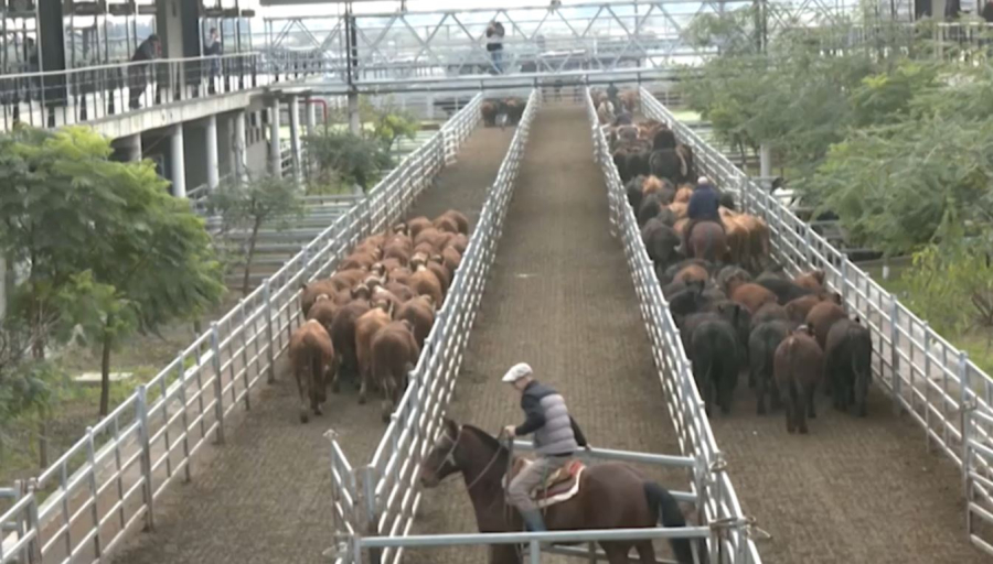 АҚШ аргентиналық етке нарығын кеңейтті