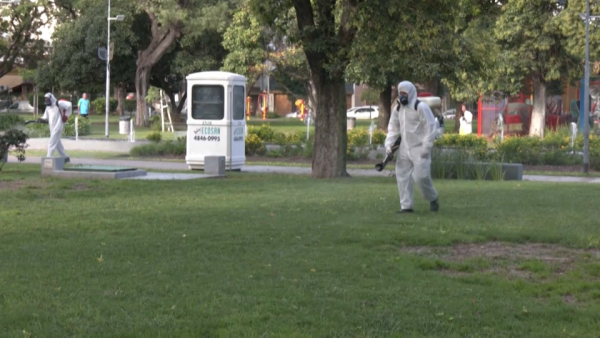 В Аргентине зафиксировали 180 тыс. случаев денге