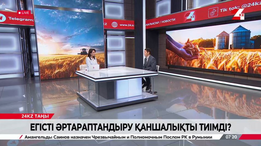 Егісті әртараптандыру қаншалықты тиімді? Ерсайын Досымбетов