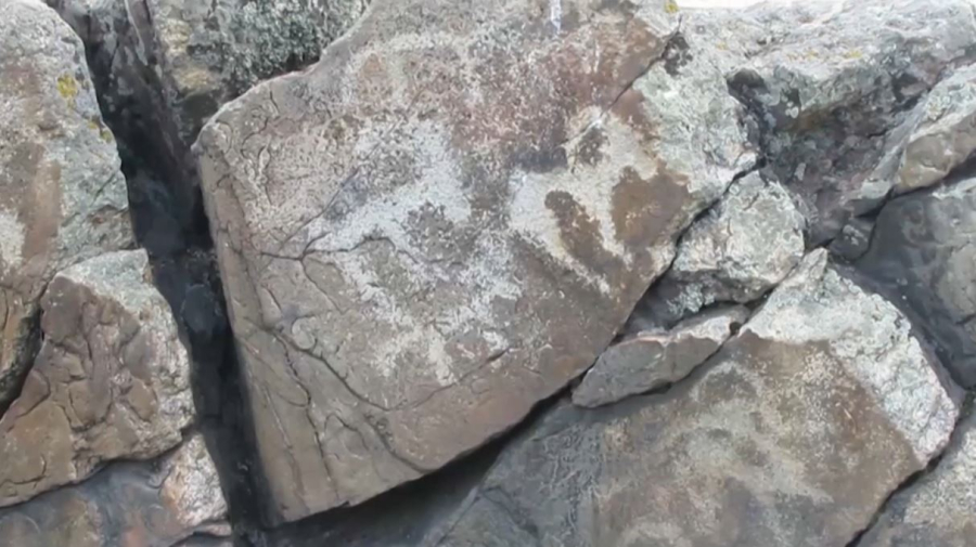 ИИ-модель для сохранения петроглифов представили в Астане