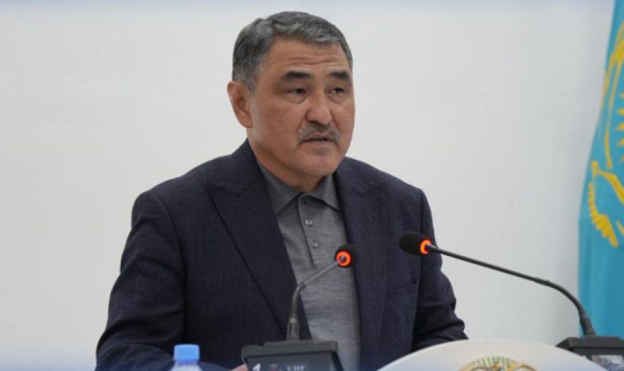 Строительство 8 новых водохранилищ планируется в области Жетісу