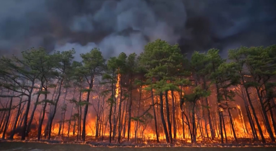 Нью-Джерсиде орман өртінен төтенше жағдай жарияланды