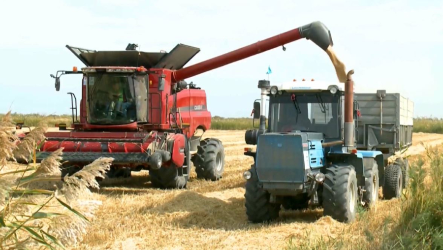 Қазақстанда 6 млн тоннадан астам астық жиналды