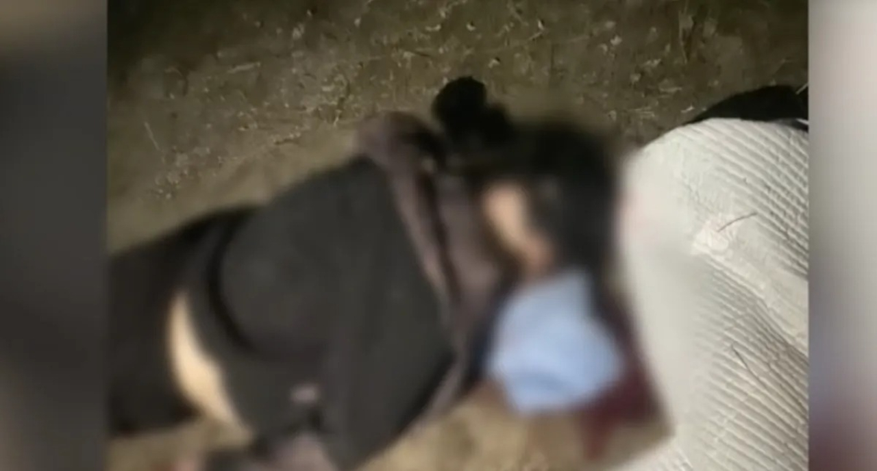 Семейде бұрынғы әйелін қызғаныштан өлтірген ер адам 12 жылға сотталды