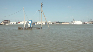 Уровень воды растёт в реке Жайык – МЧС