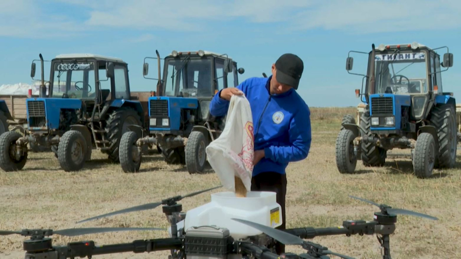 Қызылорда диқандары күрішті көшеттеп еге бастайды