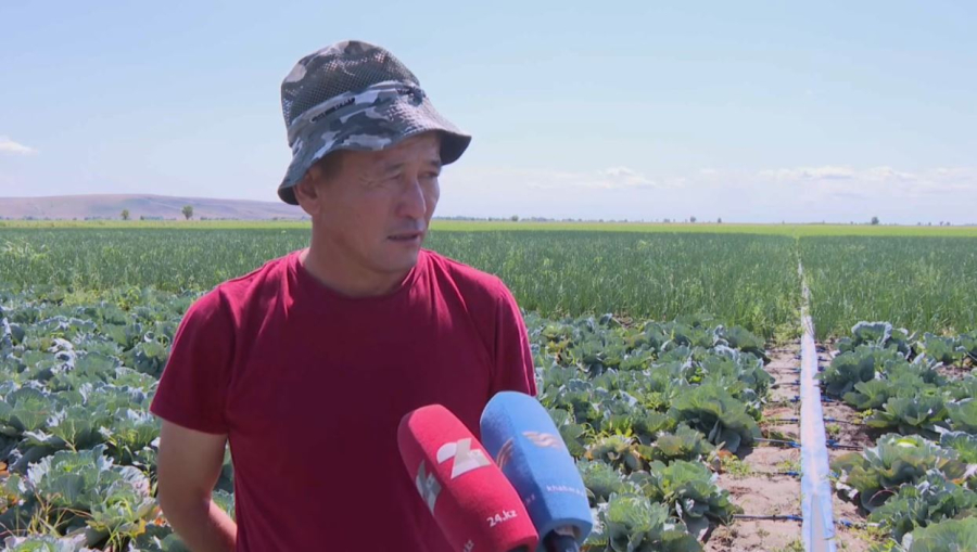 Абай облысының шаруалары тамшылатып суару технологиясын енгізіп жатыр