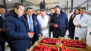 Алихан Смаилов обсудил проблемные вопросы с сельхозпроизводителями Алматинской области
