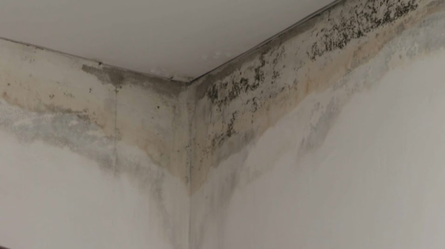 Арендное жилье с дефектами предоставили многодетным семьям