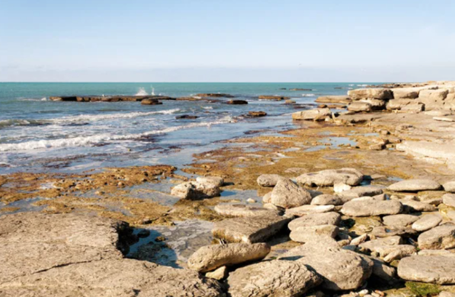 ₸305 млн выделено для развития института Каспийского моря