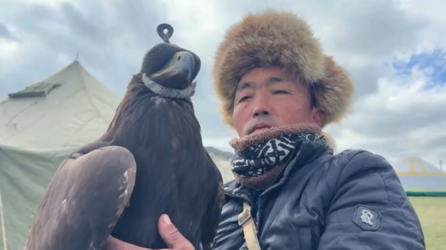 Беркутчи со всего мира демонстрируют мастерство в охоте