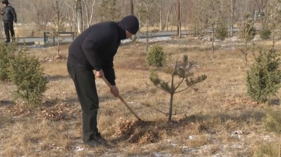 Акцию «Таза бейсенбі» провели в Жезказгане