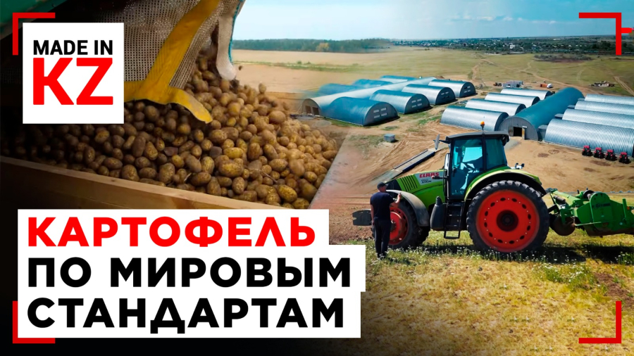 Из чистого поля – в агропроект: как сельский округ в Павлодарской области стал точкой роста АПК