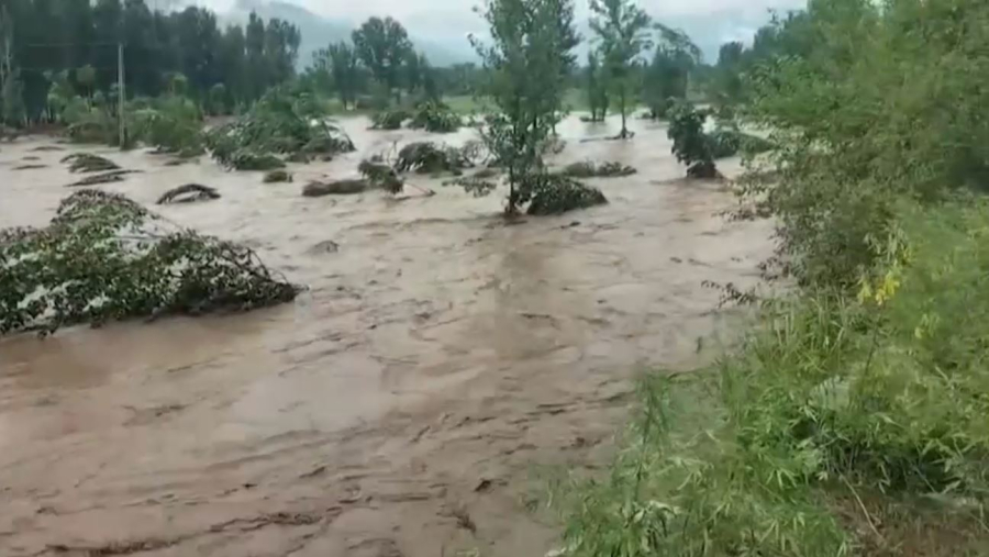 Наводнения в Пакистане: погибли 320 человек