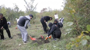 Общегородской субботник организовали в Усть-Каменогорске