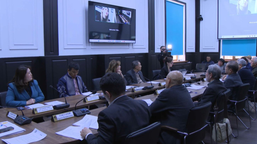 Саясаттанушылар Конституция жобасын талқылады