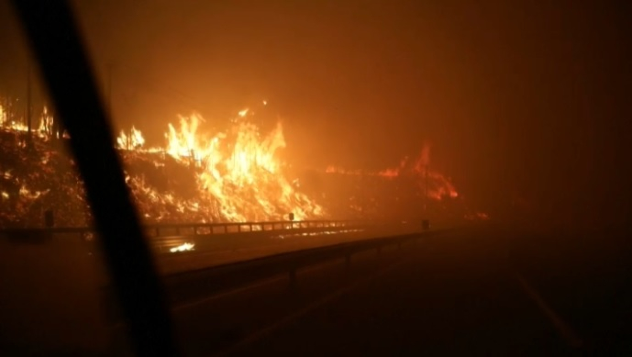 Лесные пожары унесли жизни 18 человек в Чили