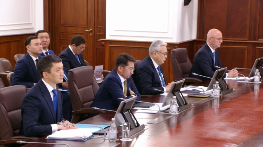 Қазақстанда шетелдіктерге арналған жаңа қосымша әзірленді