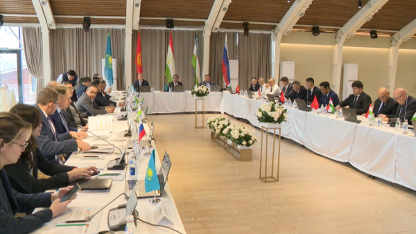 Алматыда Орталық Азияның энергетикалық үйлестіру кеңесінің отырысы өтті