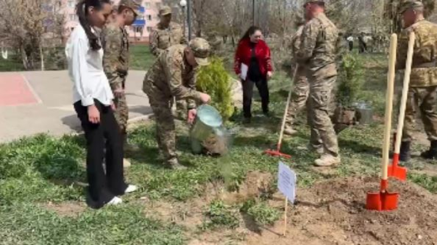 Гвардейск гарнизонында 500 түп көшет егіледі