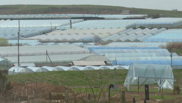 Приграничные районы развивают в Туркестанской области