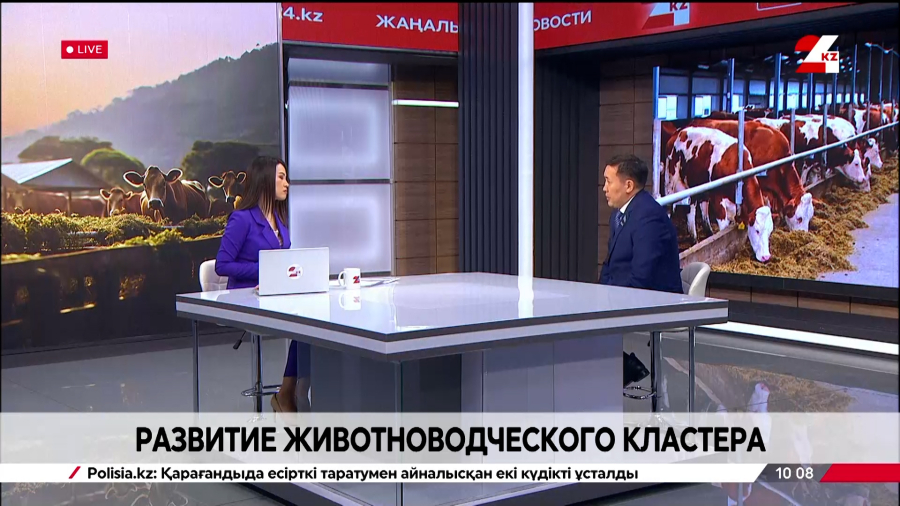 Развитие животноводческого кластера. Анас Баккожаев