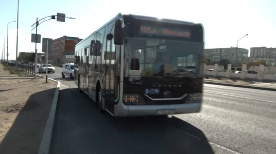 Волонтёры читают лекции по экологии в автобусах