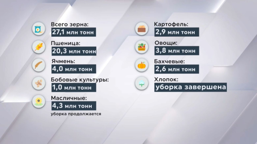 27 миллионов тонн зерна собрали казахстанские аграрии