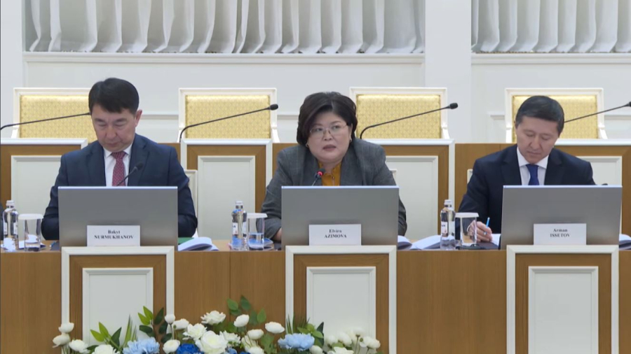 Халықаралық қауымдастық конституциялық реформаның ашықтығын бағалады